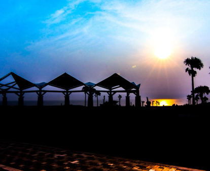 The Zari - Chettinad